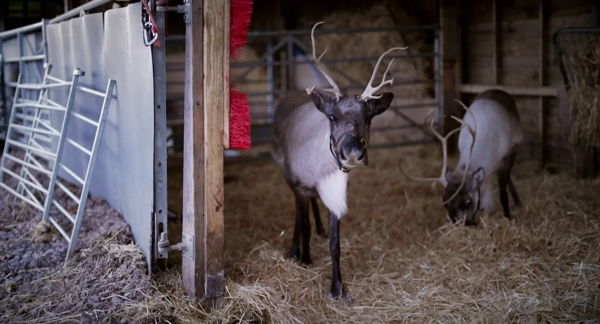 Christmas in the Cotswolds