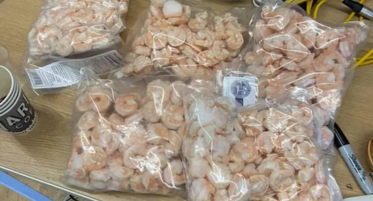 The Shrimp-Off