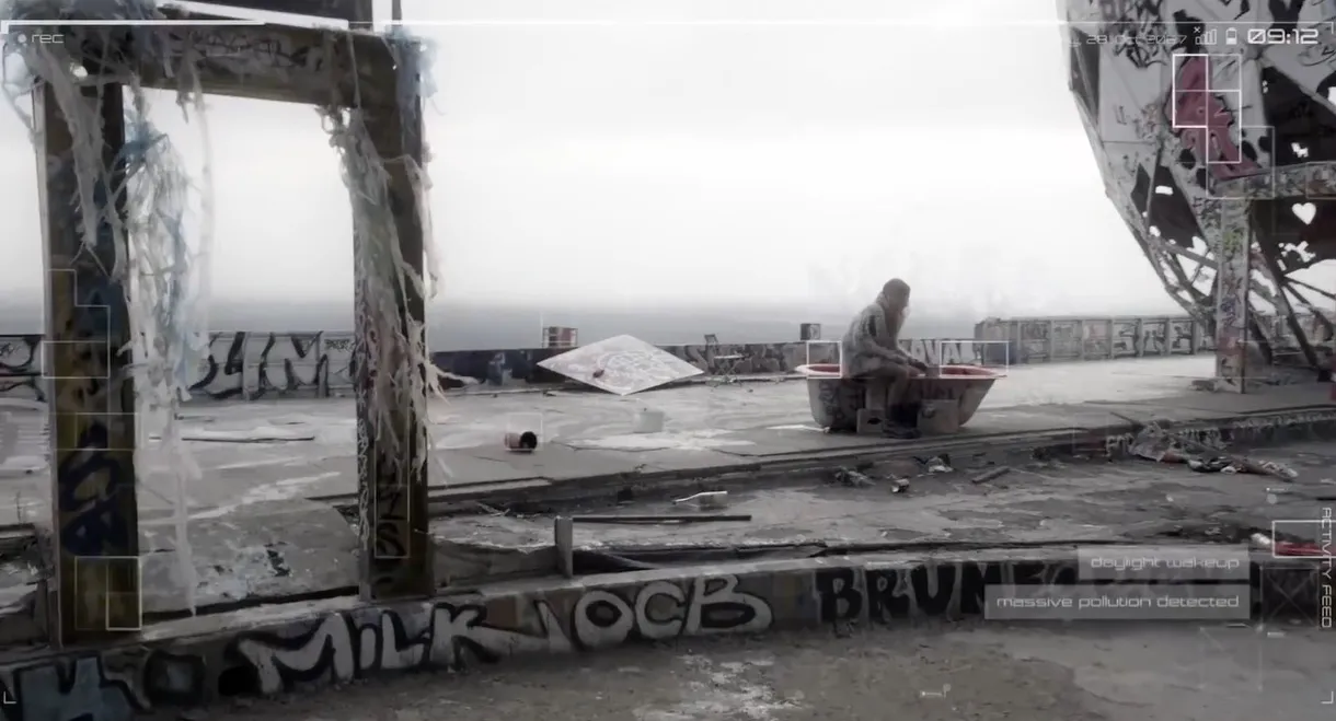 Don't Mess with the Sharkies