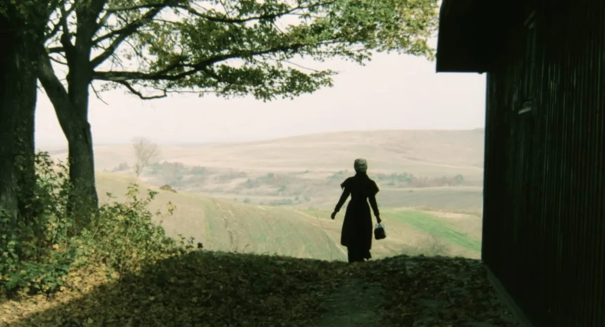 The Birthday Present