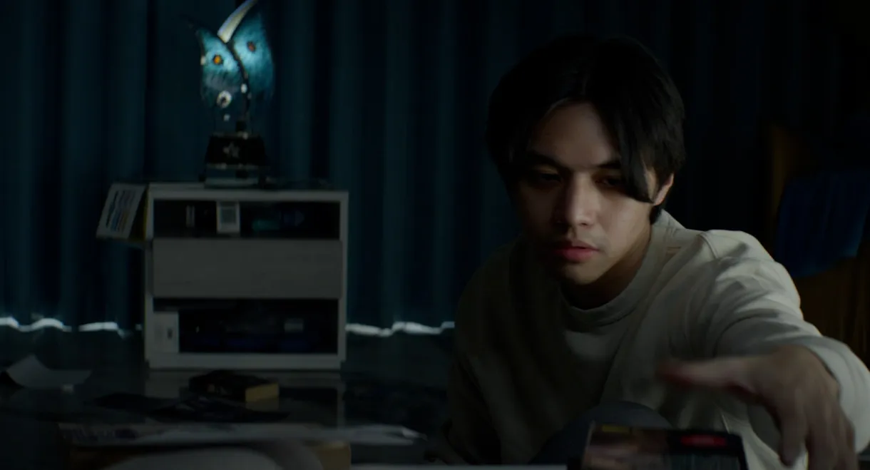 The Shape of Invisible Skies