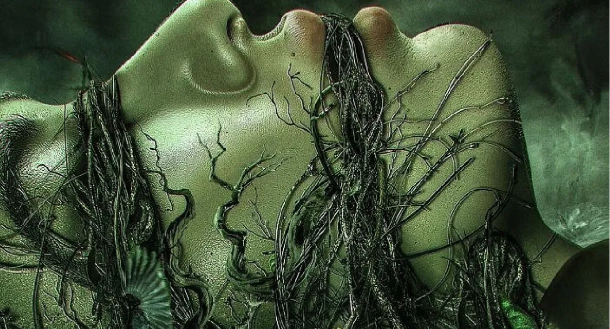 Ancient Town Mystery Case