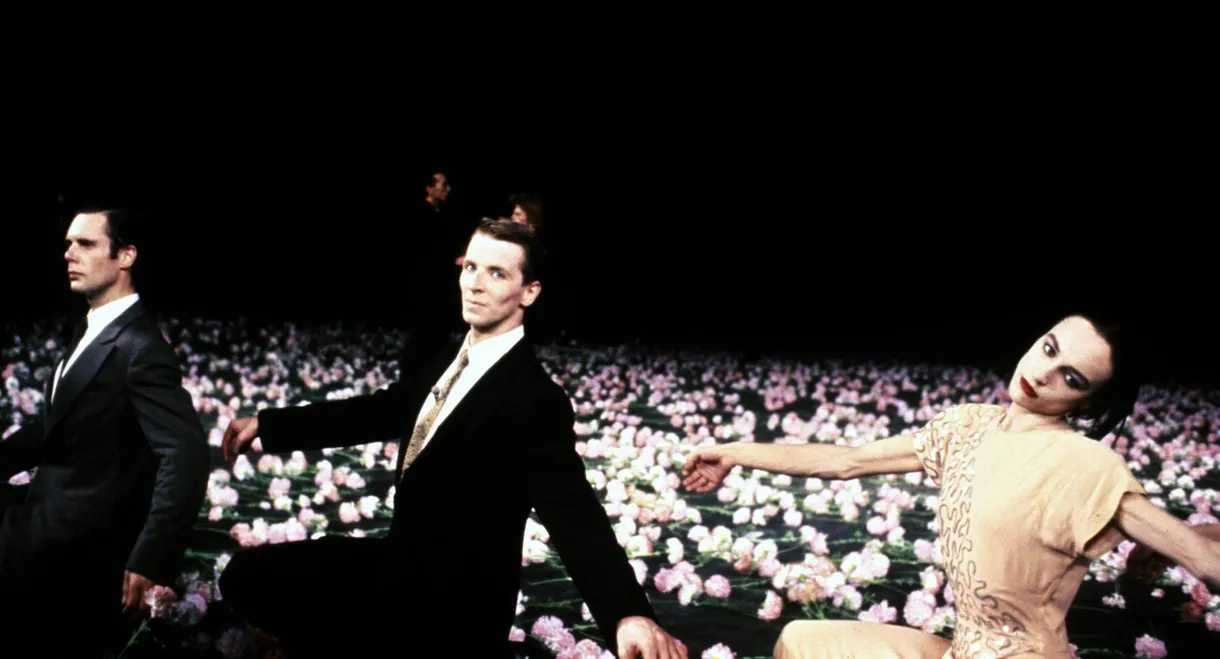 One Day Pina Asked...