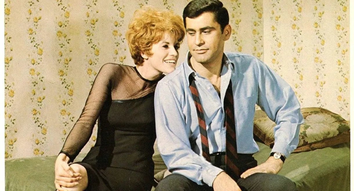 The Pad and How to Use It