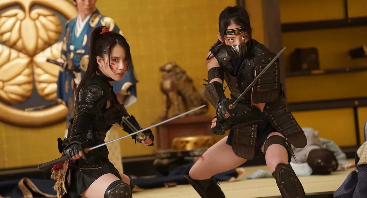 Ninja Wars: BlackFox vs Shogun's Ninja