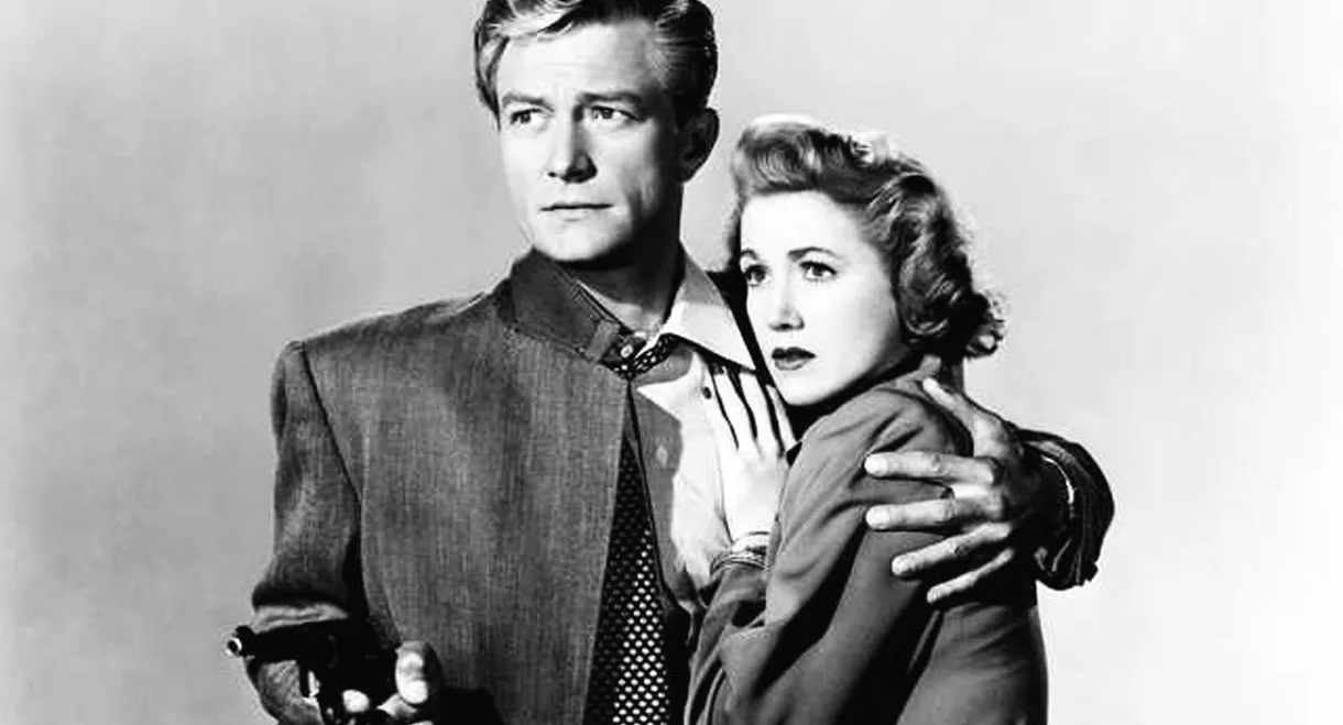 Insurance Investigator