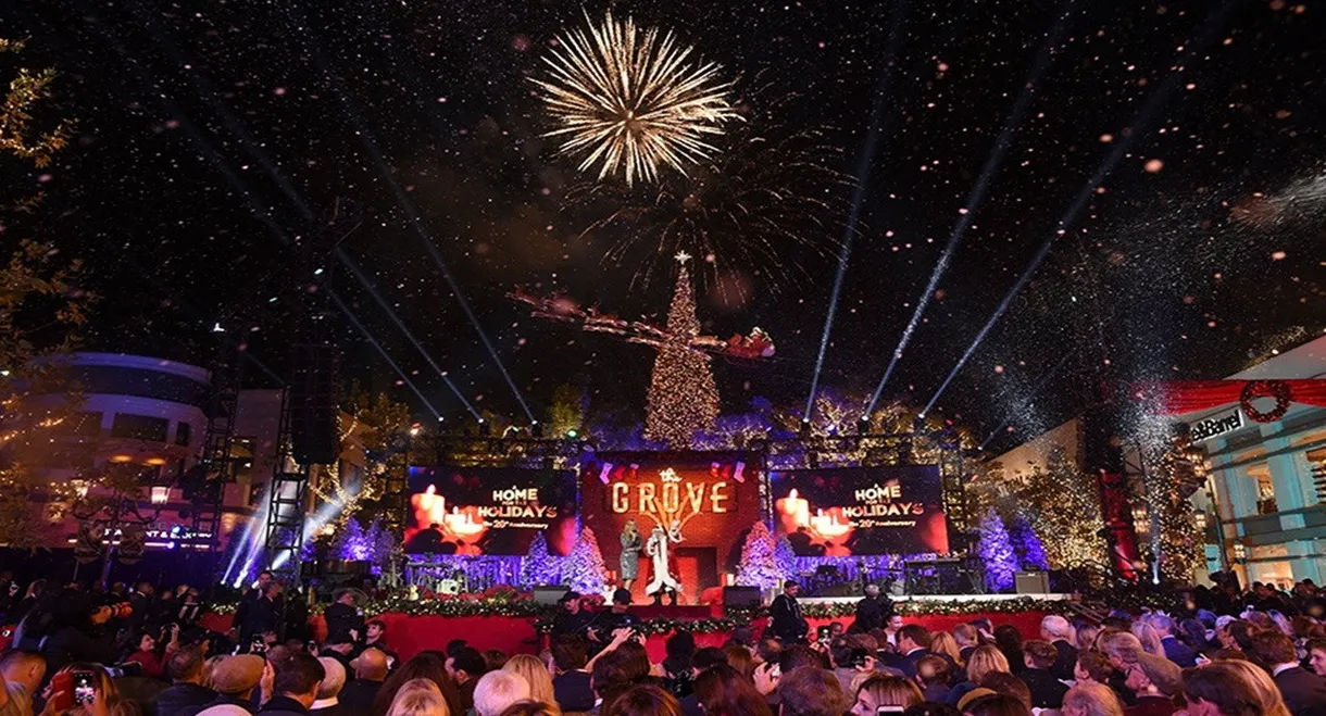 A Home for the Holidays: The 20th Anniversary