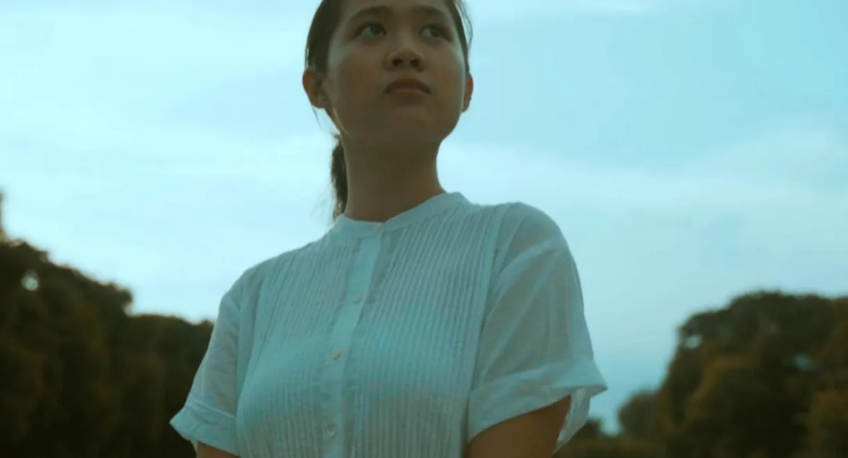 The Silent Words of a White Bird