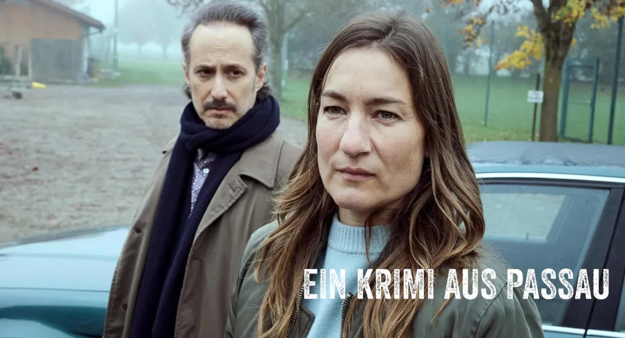 Niemand stirbt gern allein - Ein Krimi aus Passau