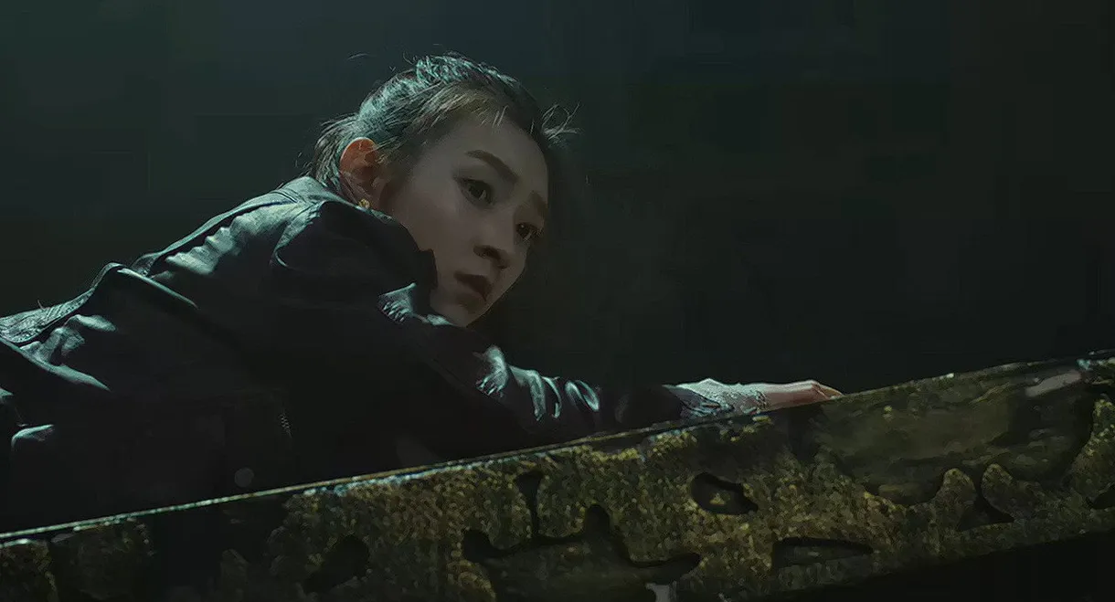 Tang Dynasty's Dragon Coffin and Phoenix Gall