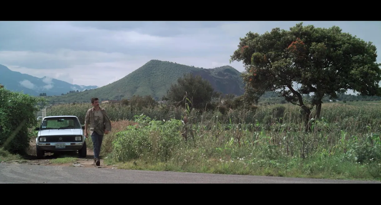 The Opposite Of Death