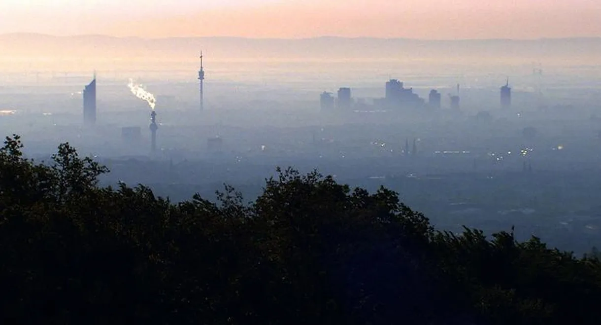 Vienna's Forests - Jewels of Green