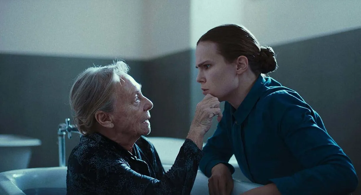 Where The Shadows Fall