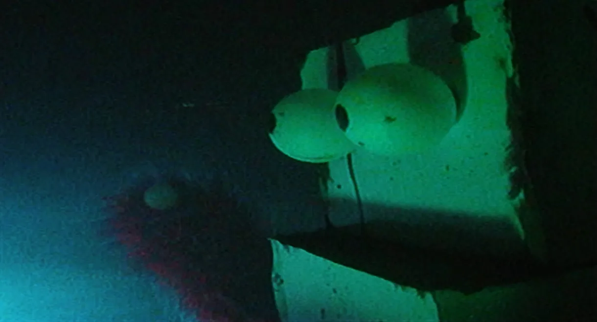 Public Access Limited