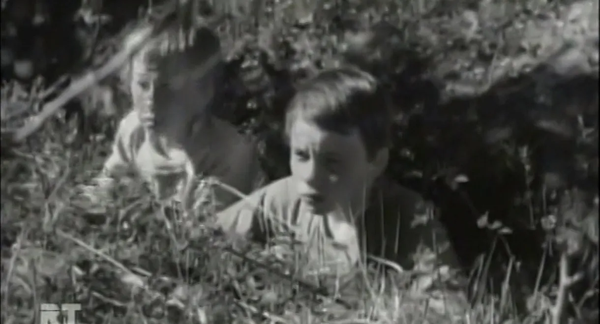 The White Weathervane