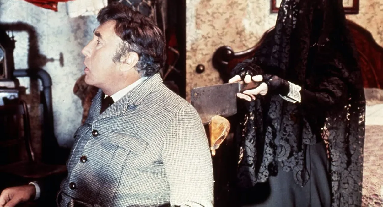 The House in Nightmare Park