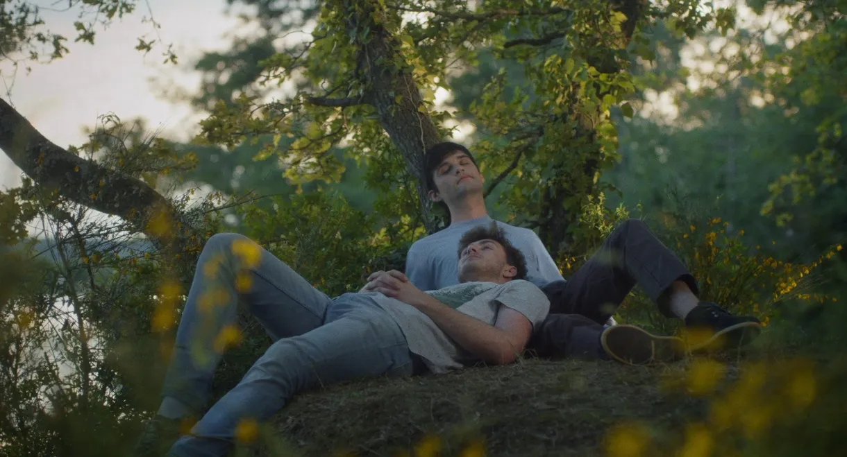 The Extravagant Illnesses