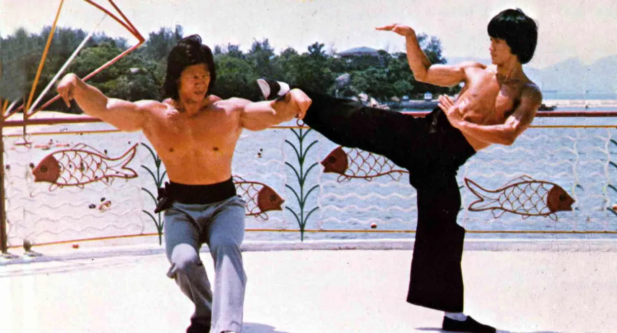 The Legend Of Bruce Lee