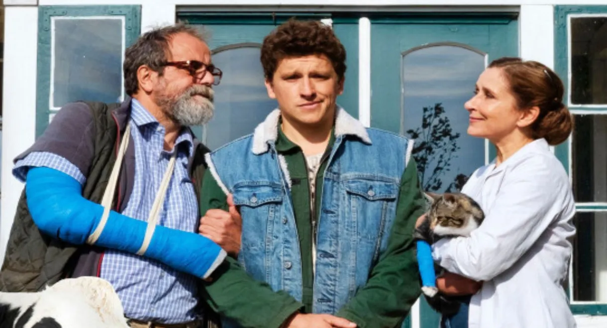 Viele Kühe und ein schwarzes Schaf