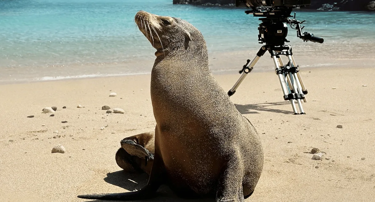 Guardians of the Galapagos