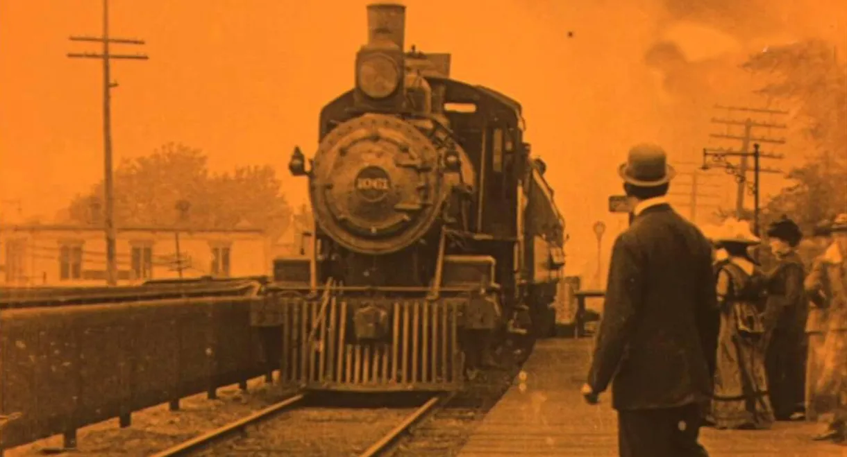 The Cowboy Millionaire