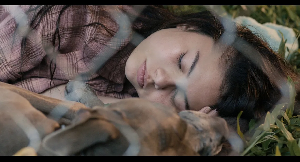 The Moon and The Night