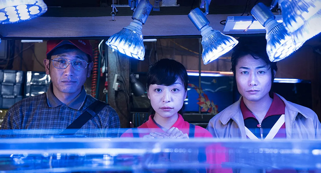 Between Men and the Gods