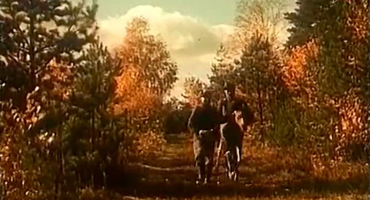 A Tale of the Forest Giant