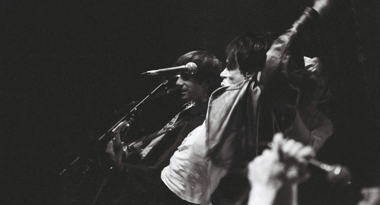 Sonic Youth: Screaming Fields of Sonic Love