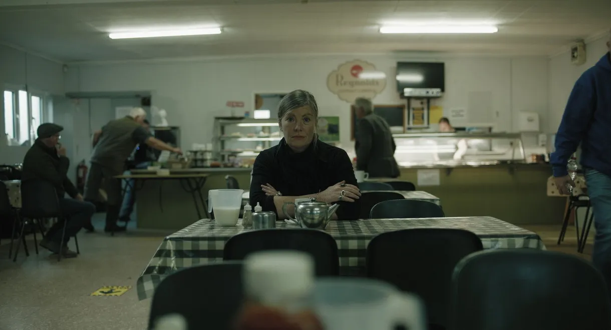 Notes from Sheepland