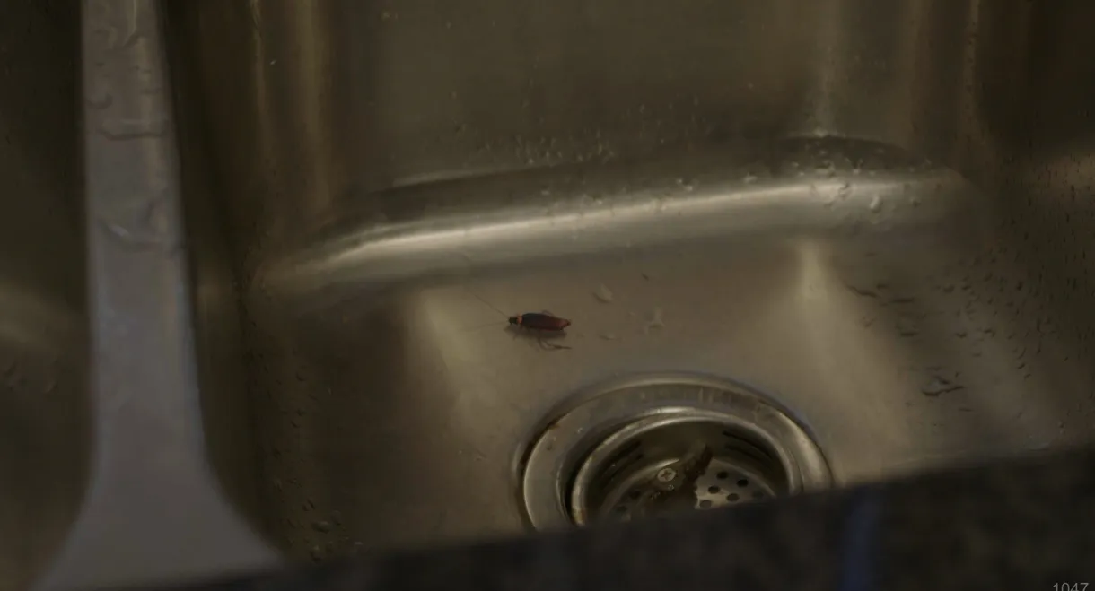 ROACH!