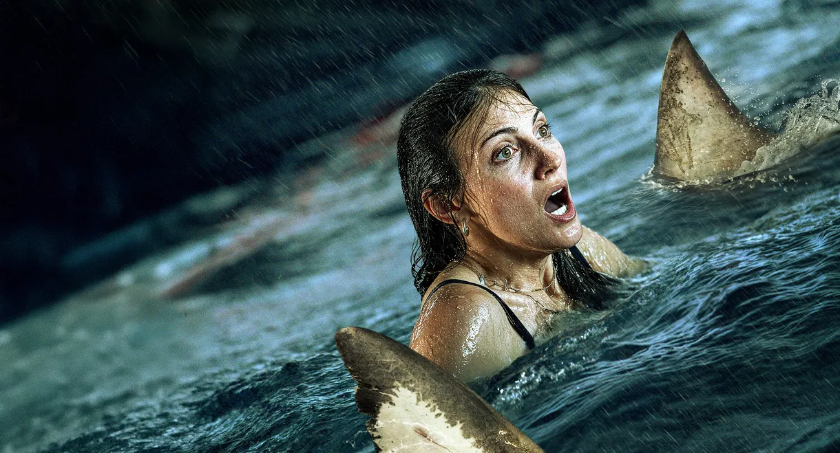 Shark Thrash