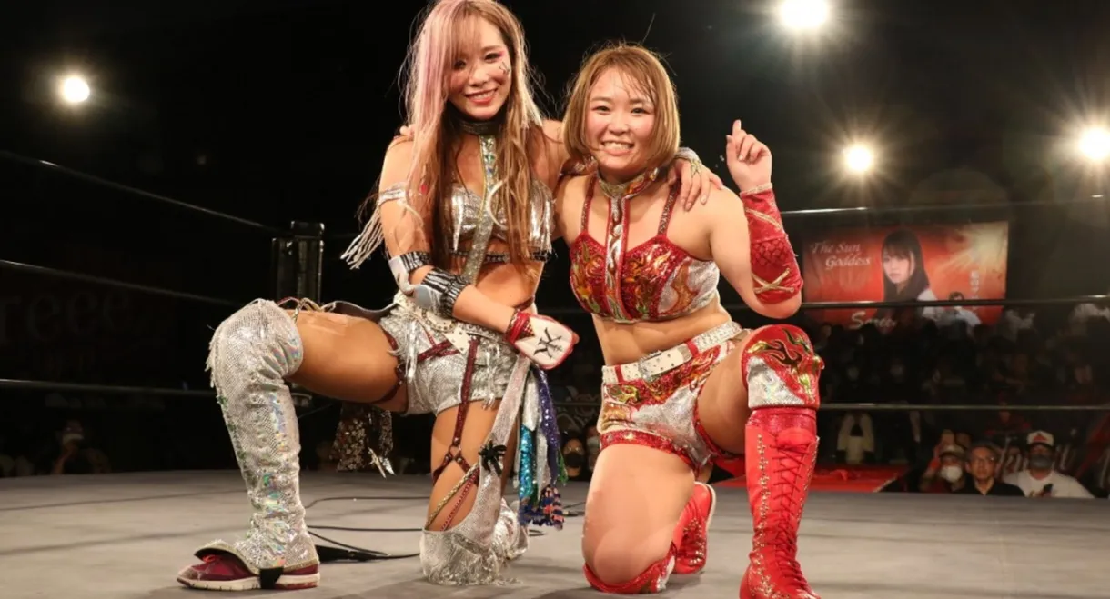 Sareee-ISM Chapter II