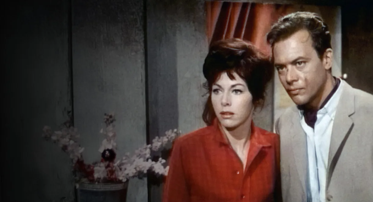 Hong Kong Hot Harbor