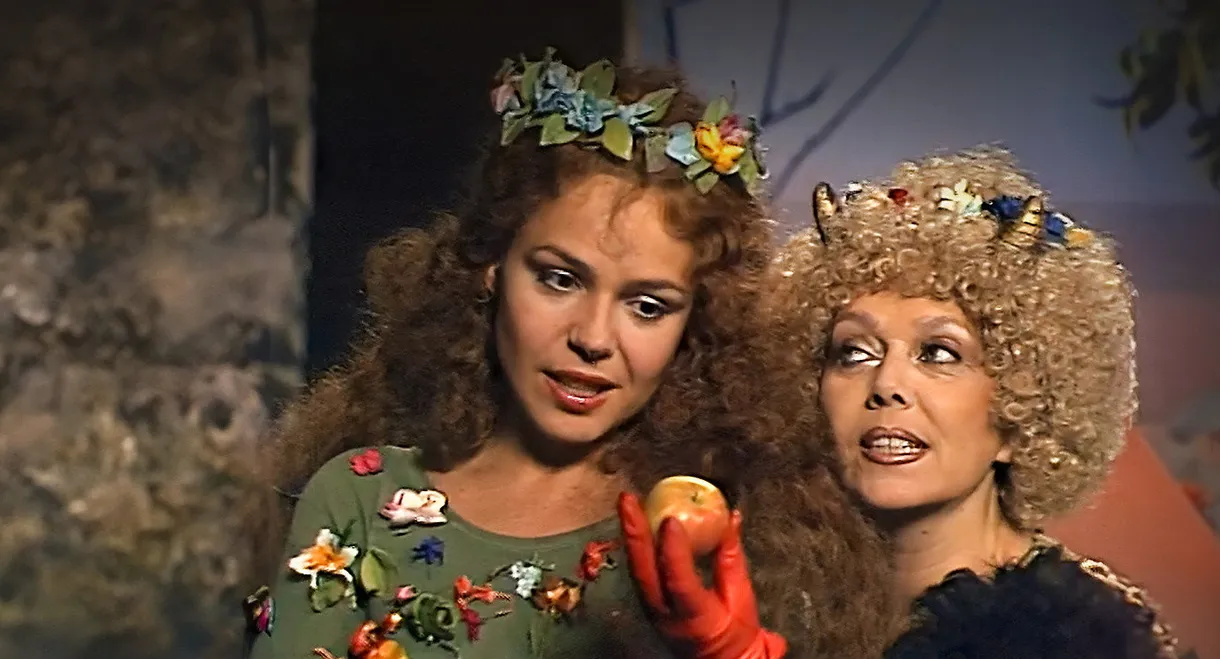 Žena v trysku století