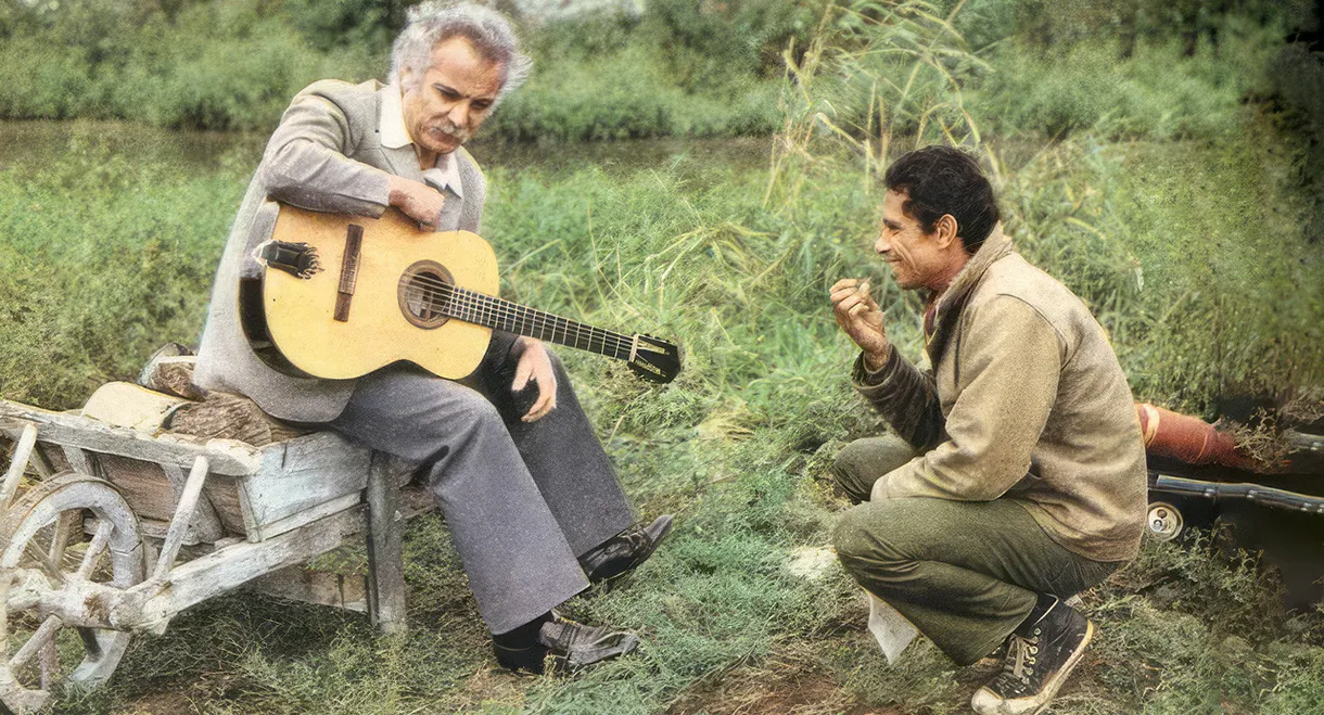 Pourquoi t'as les cheveux blancs...