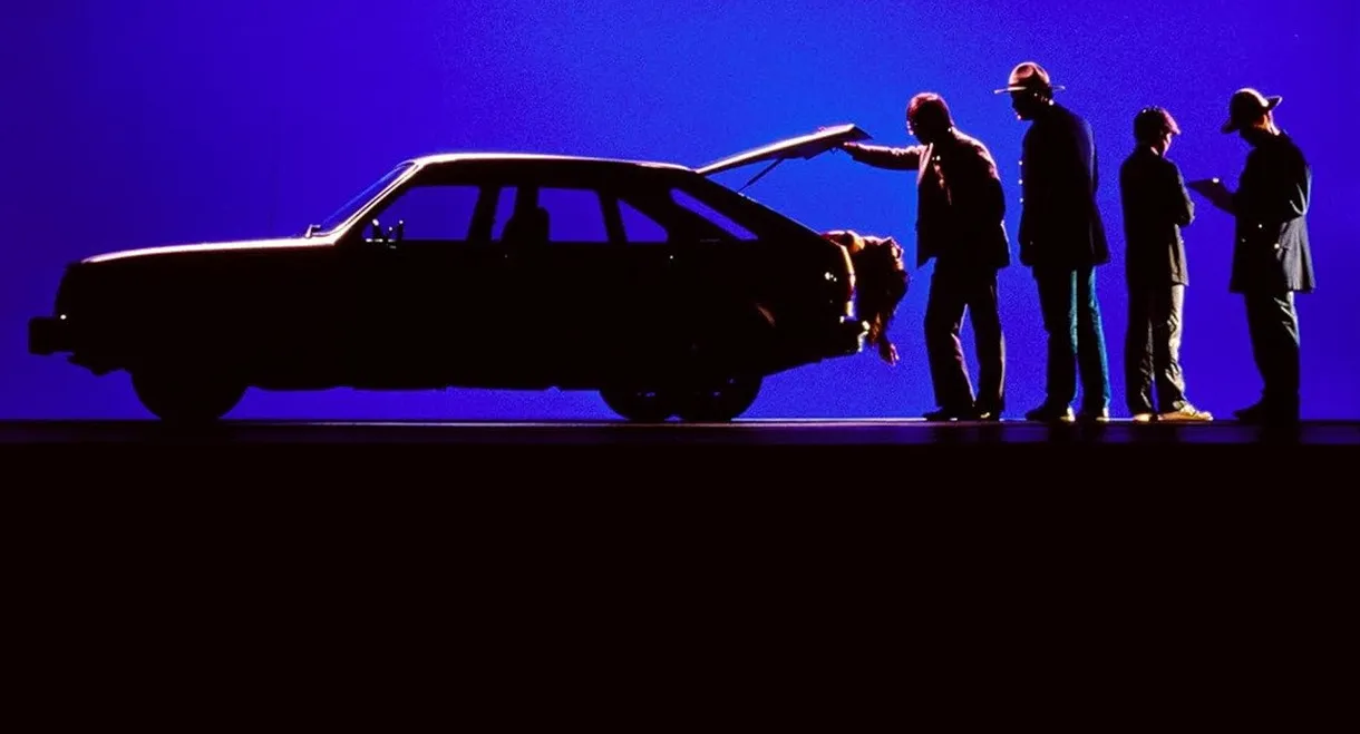 Echoes in the Darkness