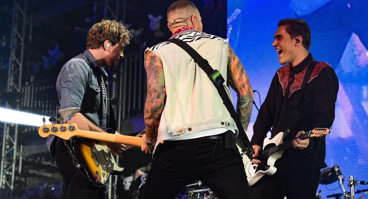 Busted: Pigs Can Fly Tour 2016