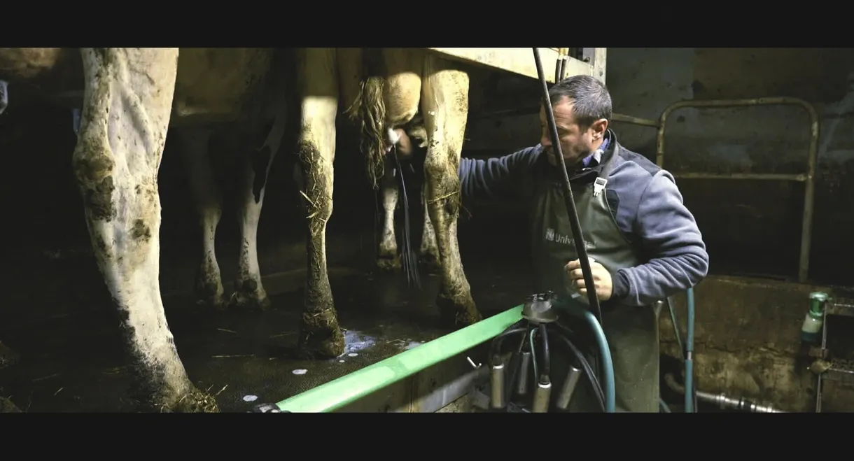 Violence dans les Champs