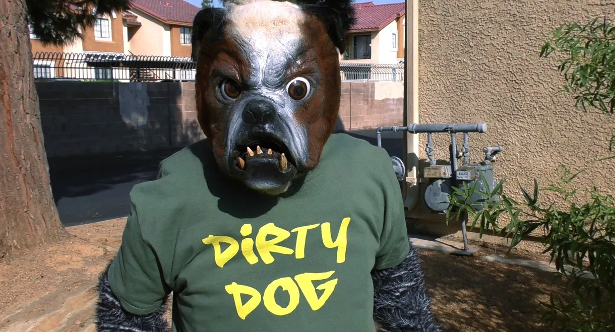 Cool Cat Fights Coronavirus