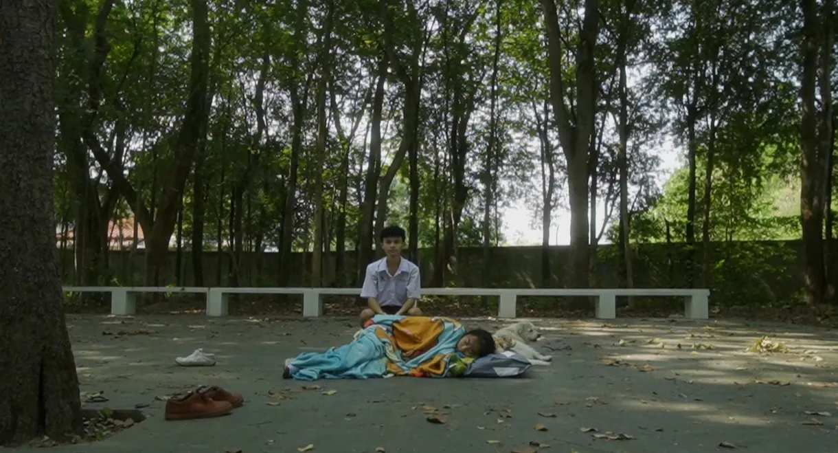 Revenge of the fried egg