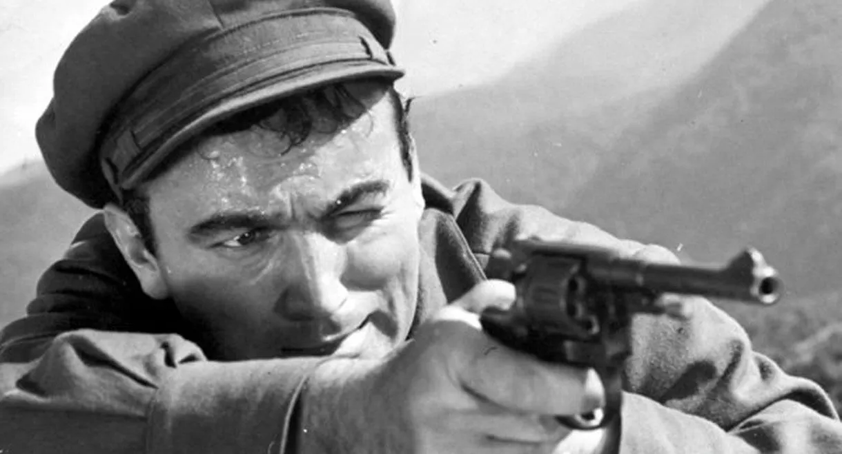 In the Name of the Law