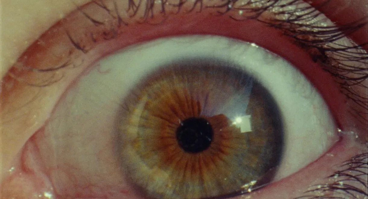 The Last Dinner Party: Prelude to Ecstasy