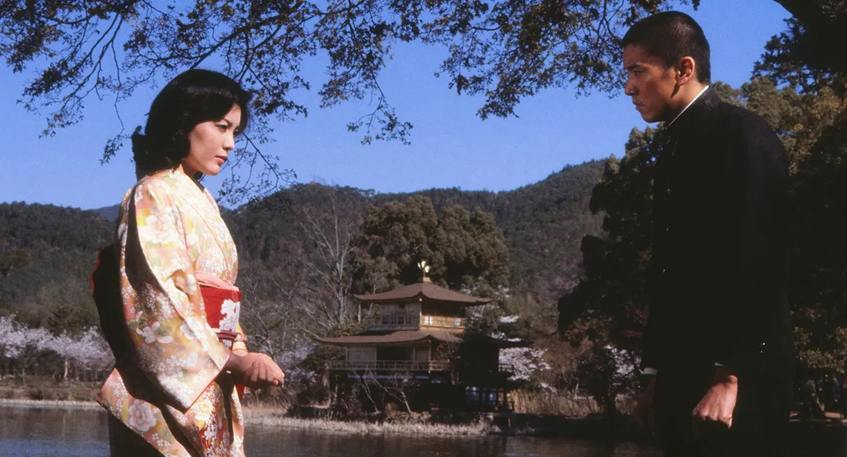 May Love Be Restored