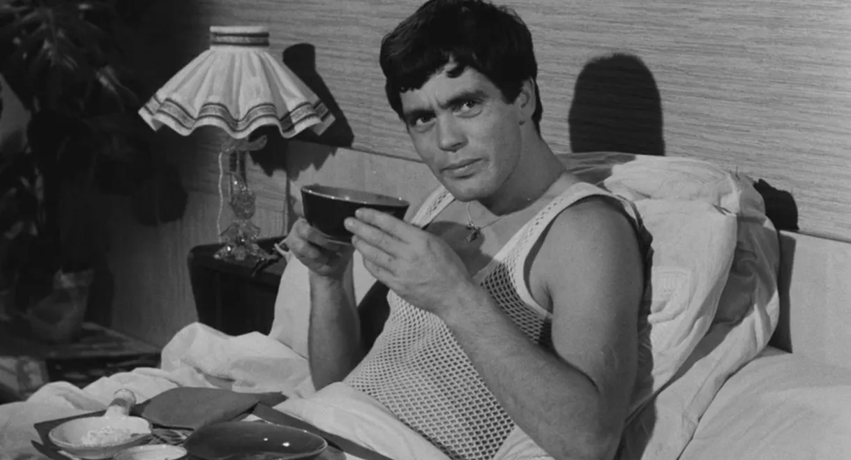 Chicken Feed for Little Birds