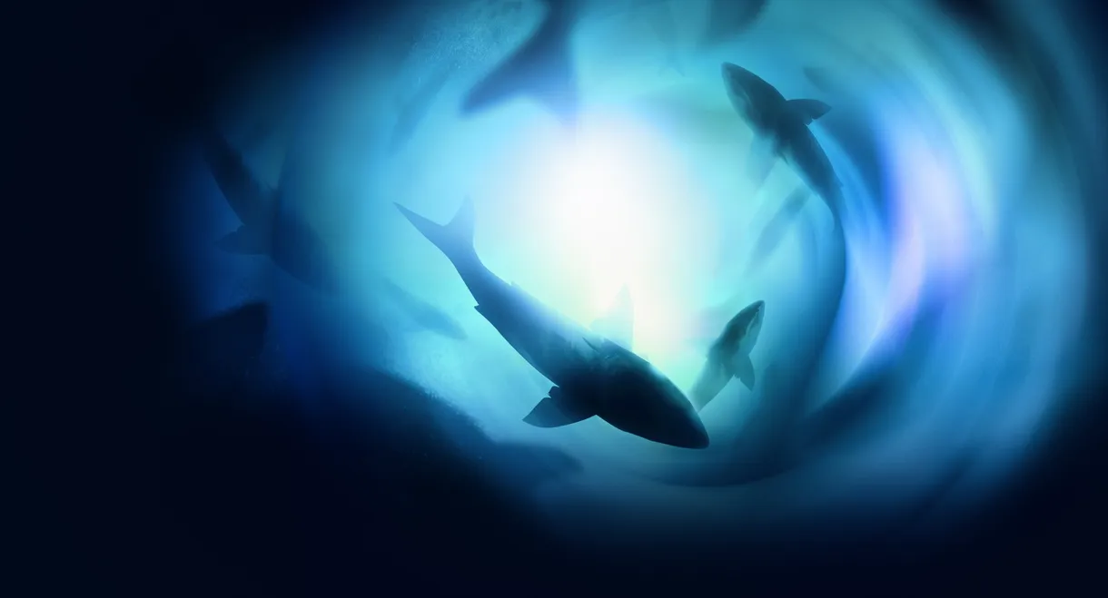 Counting Jaws