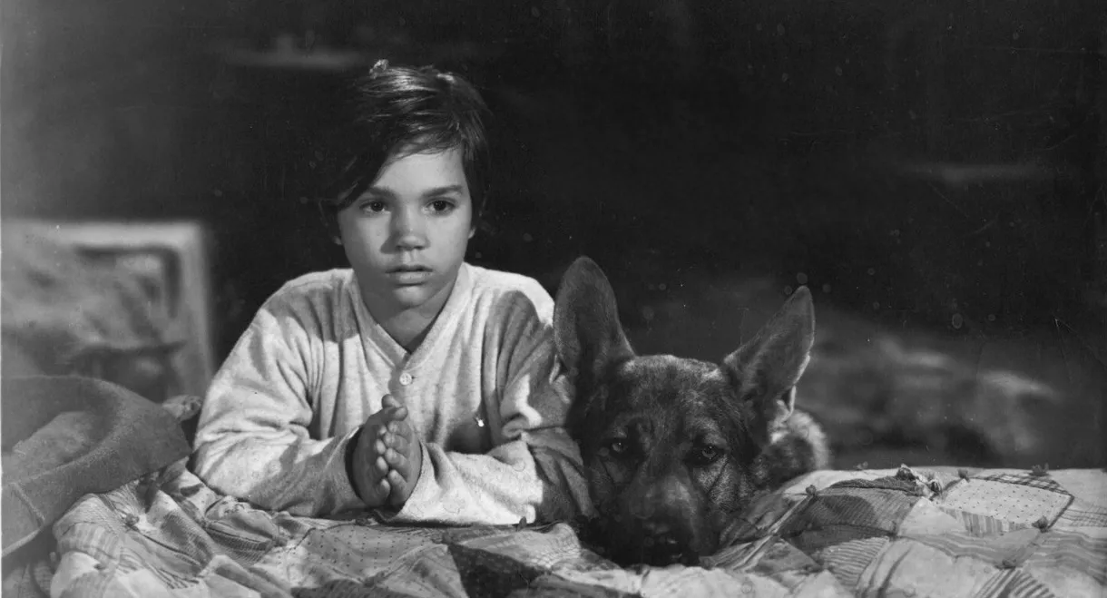 Sign of the Wolf