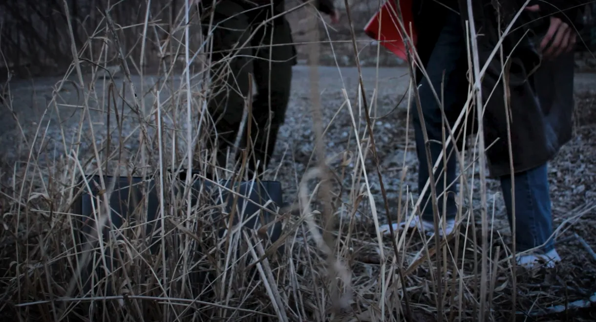 The Mysteriously Mystifying Case of the Embezzlement of Government Funds