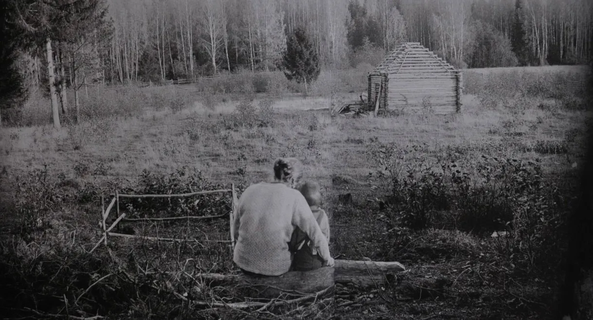 The Dream in the Mirror