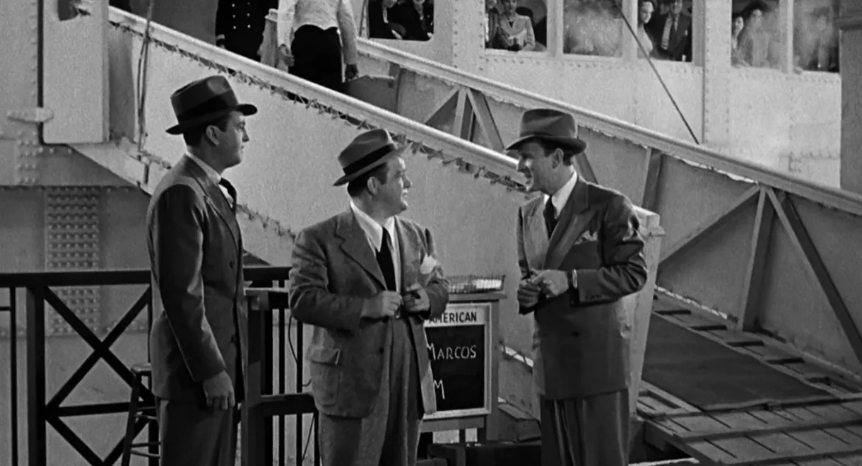 One Night in the Tropics